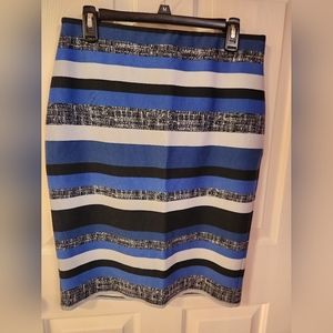 Roz & Ali Women Blue Casual Skirt